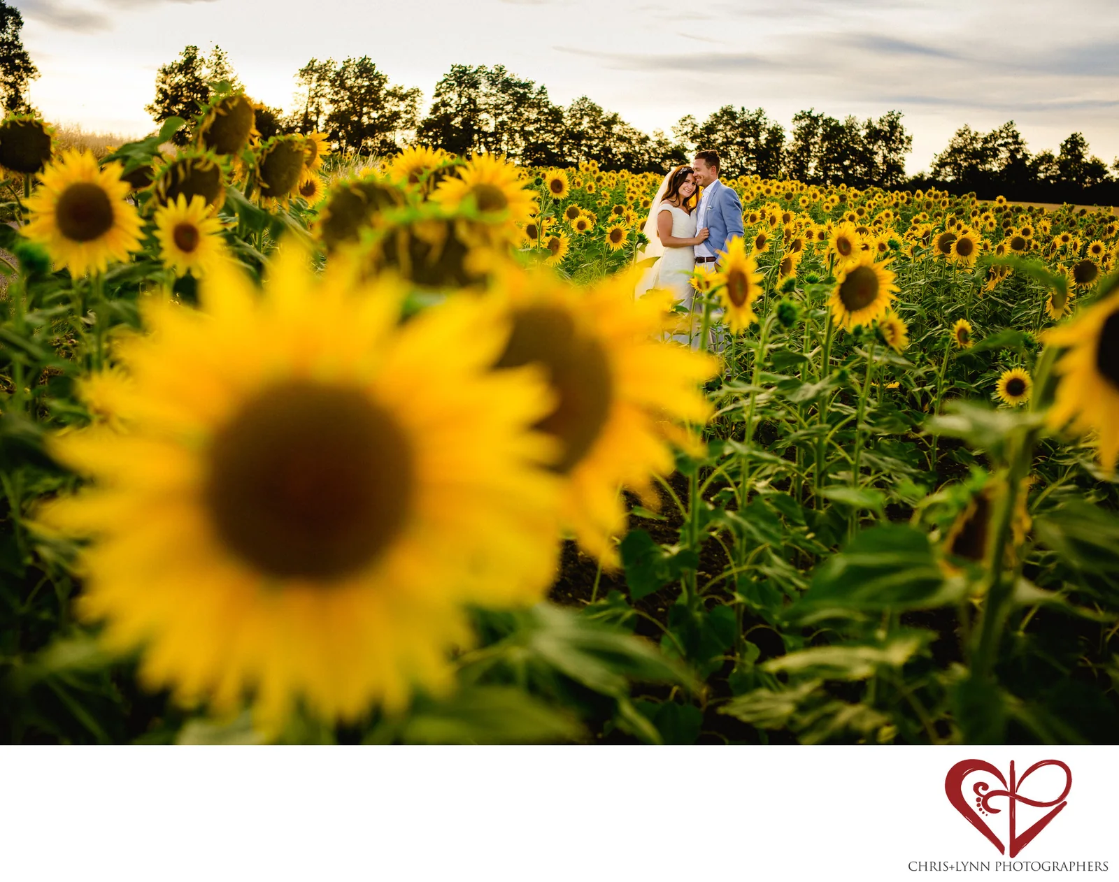 Chateau de Malliac Bride and Groom Photos