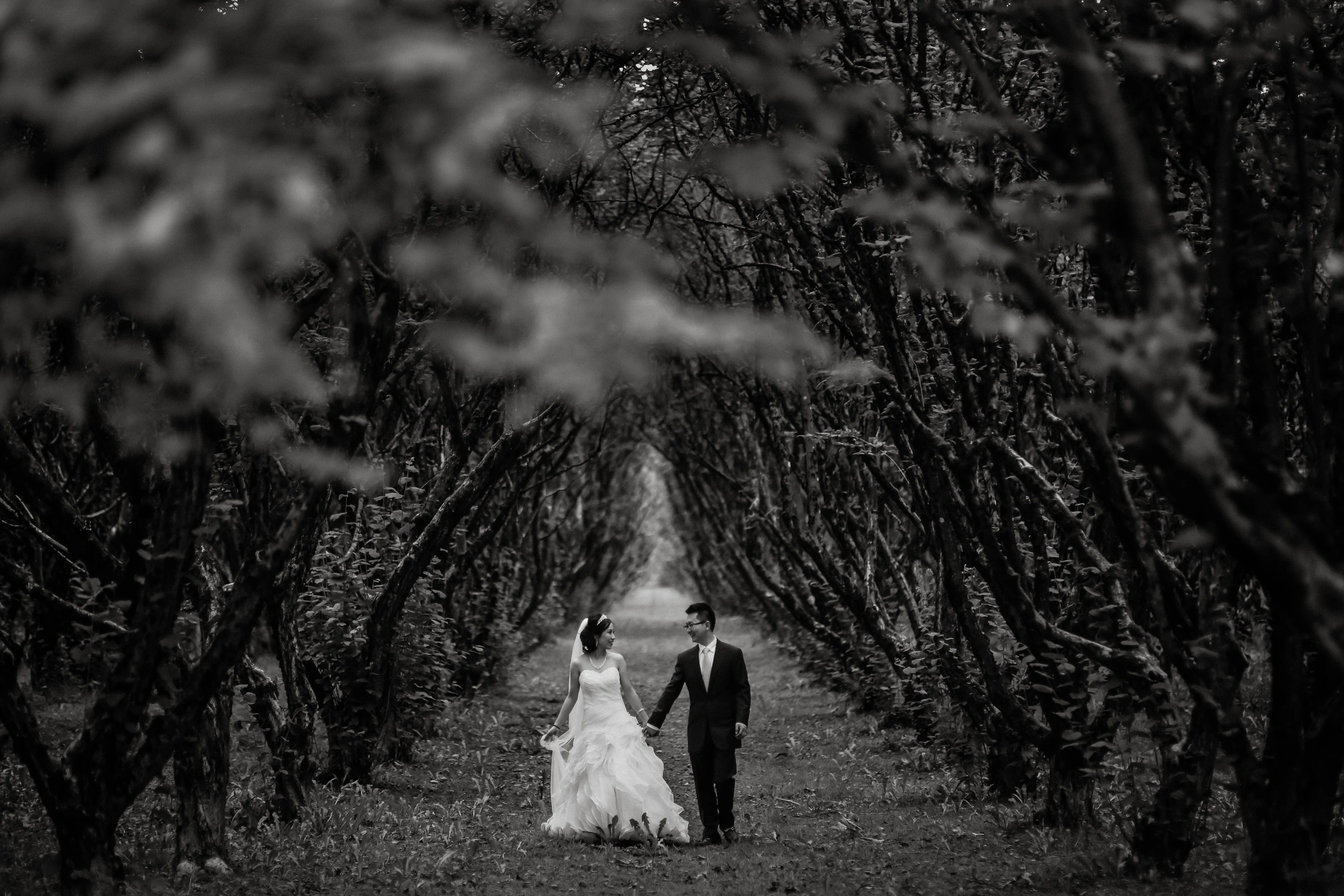 Harrison Hot Springs Wedding Photography