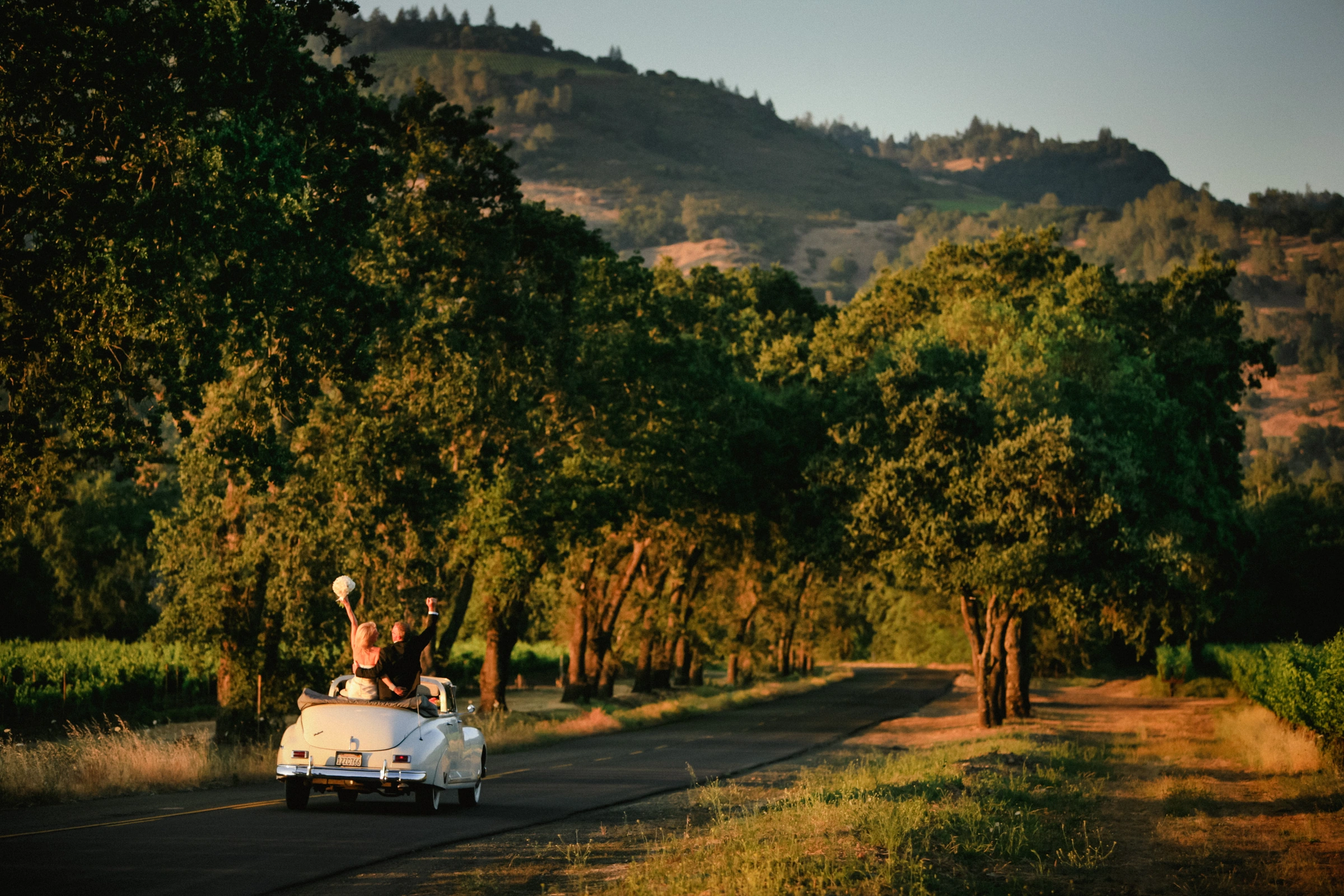 Napa Valley Wedding Photographers