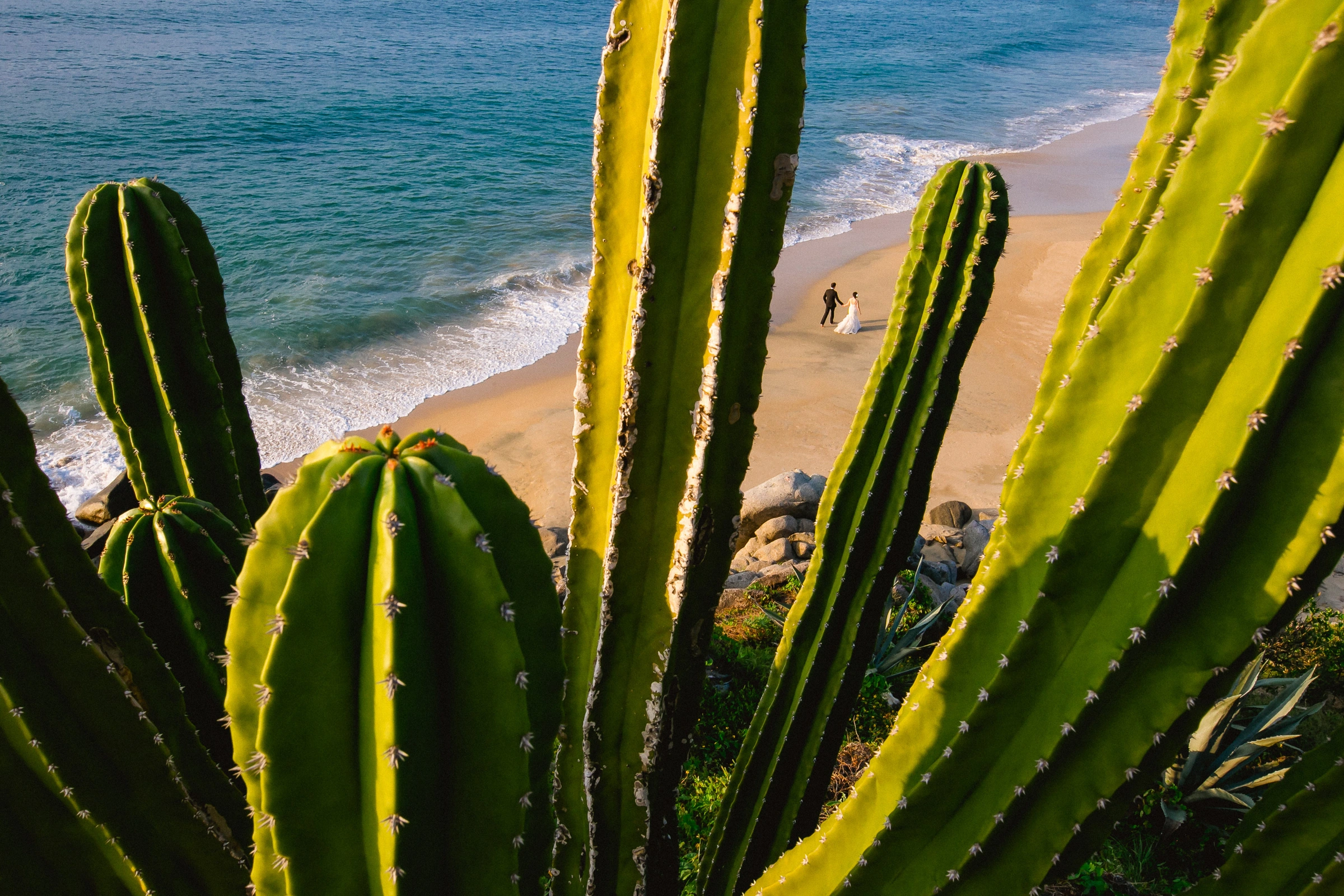 Sayulita Mexico Wedding Photo at Teitiare Estate