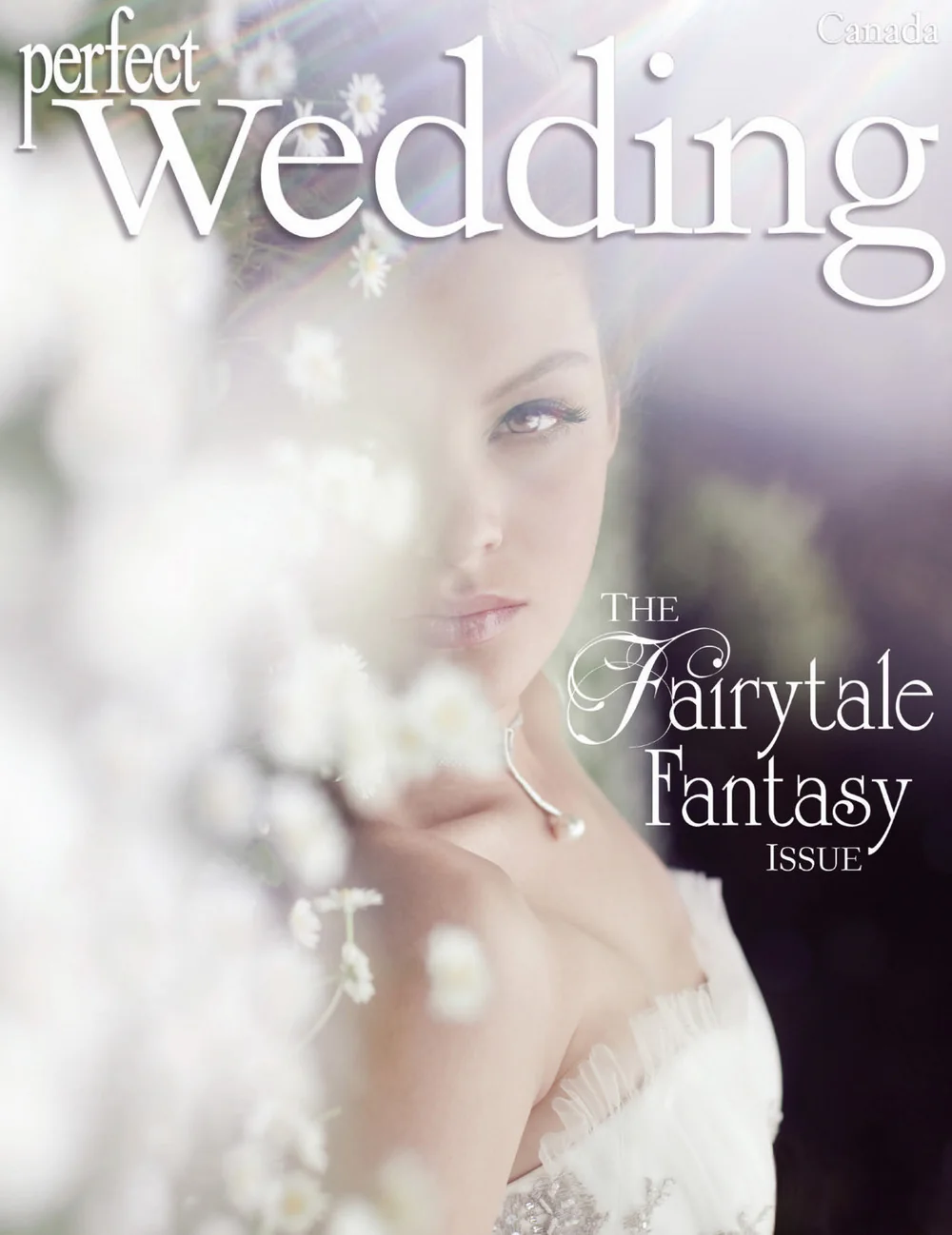 CoverSetFW2010